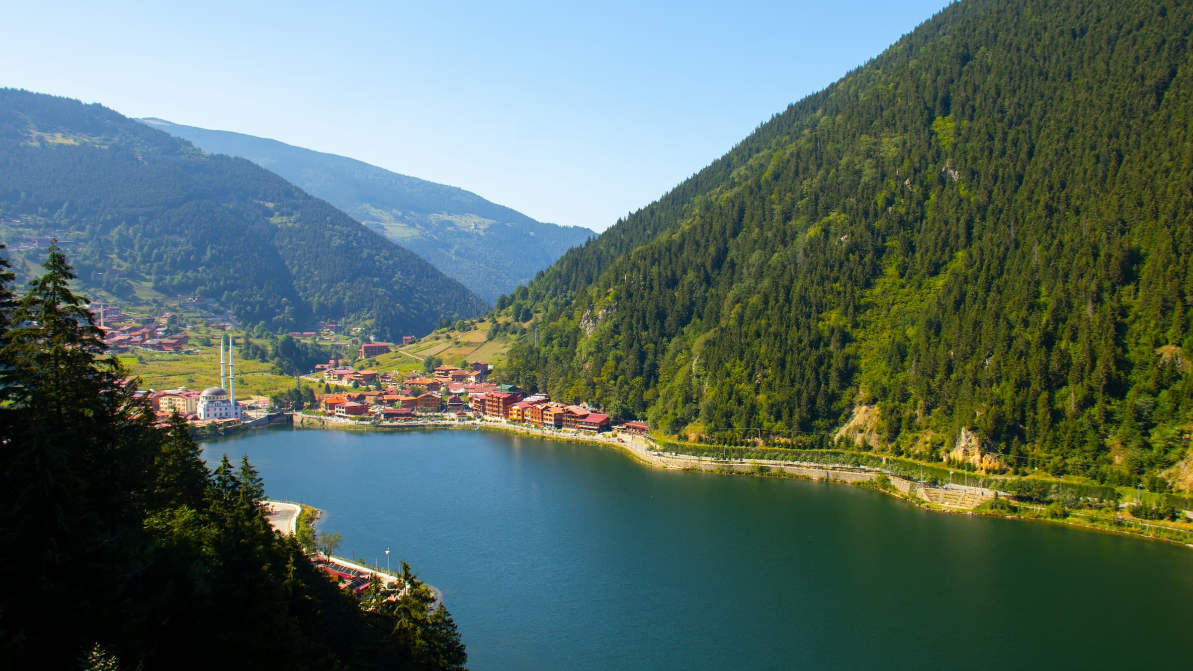 Trabzon Sahne Kiralama: Yayla Şenliği ve Konser Kurulumu